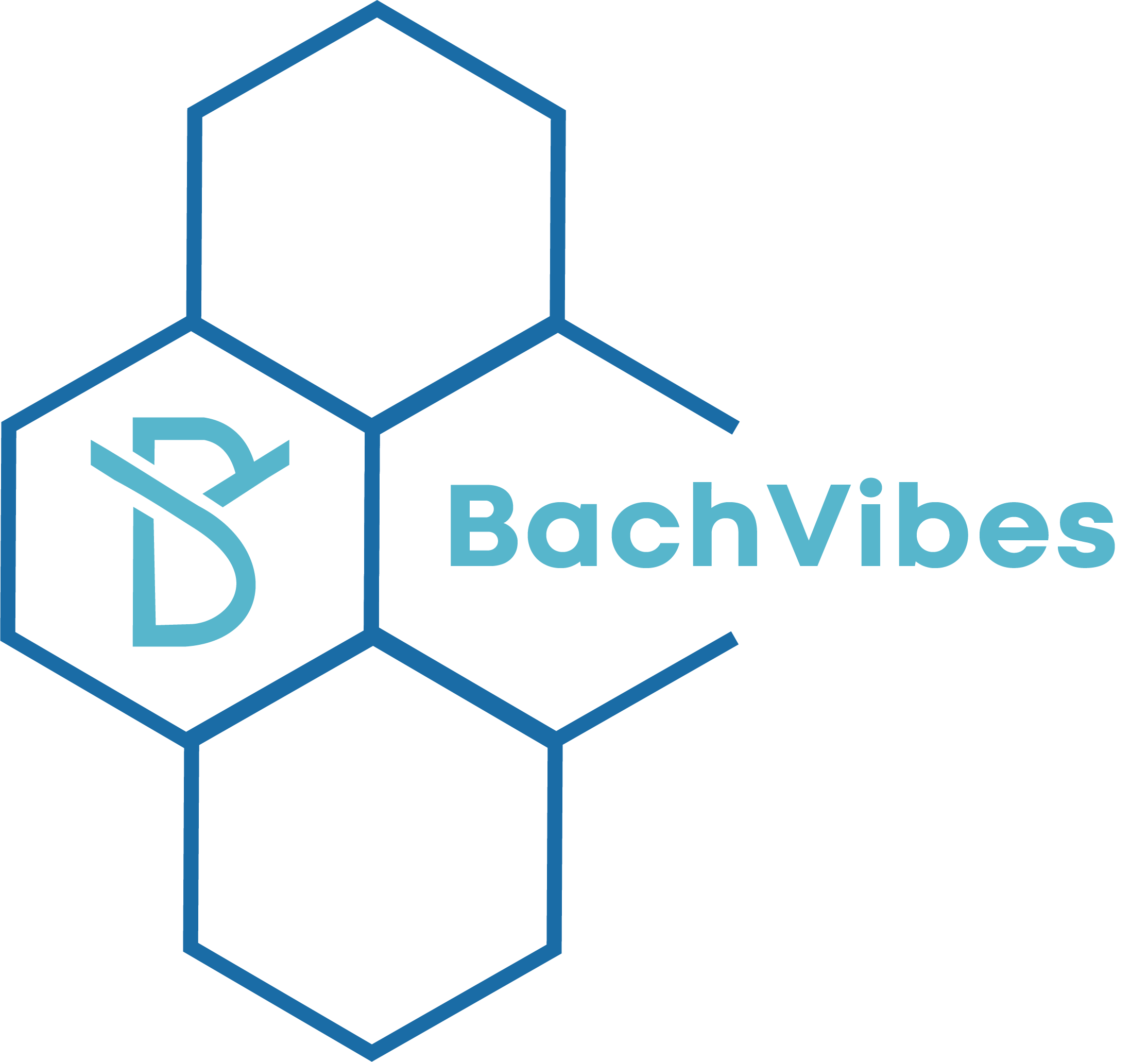 BachVibes Logo